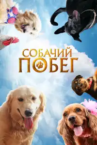  Собачий побег (индийский фильм)